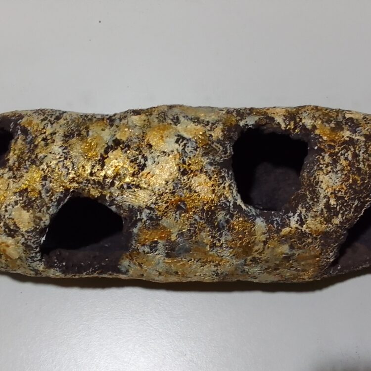 Cuevas de roca oumuamua para reptiles o peces modelo gold