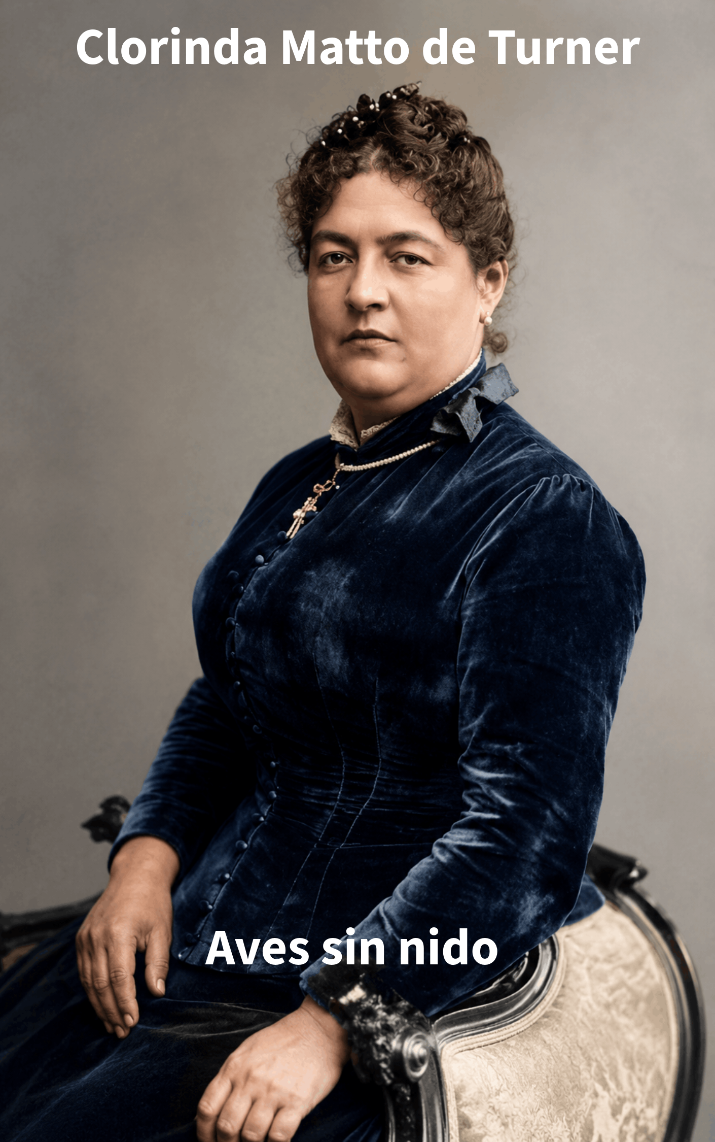 Clorinda Matto de Turner – Aves sin nido